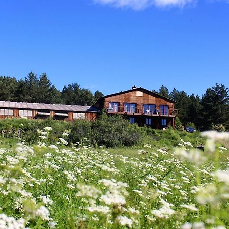 Gite Ranch Le Serpolet Les Angles (Pyrenees-Orientales) Exterior foto