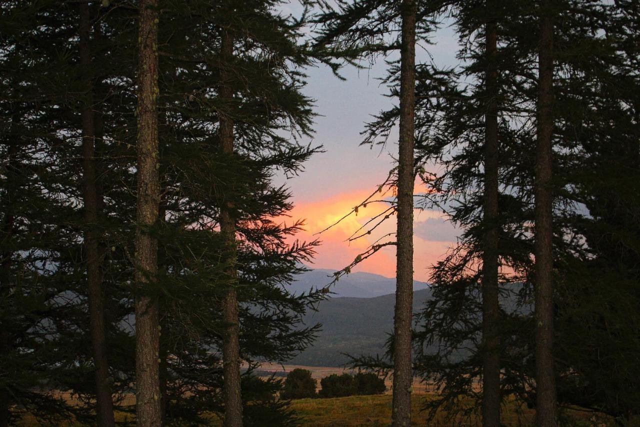 Gite Ranch Le Serpolet Les Angles (Pyrenees-Orientales) Exterior foto