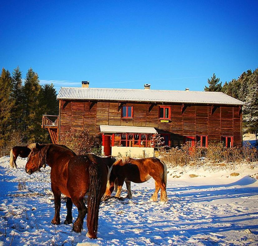 Gite Ranch Le Serpolet Les Angles (Pyrenees-Orientales) Exterior foto