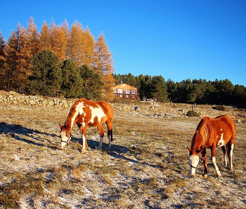 Gite Ranch Le Serpolet Les Angles (Pyrenees-Orientales) Exterior foto