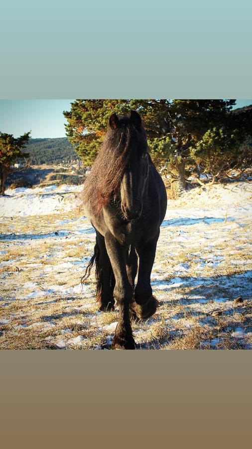 Gite Ranch Le Serpolet Les Angles (Pyrenees-Orientales) Exterior foto