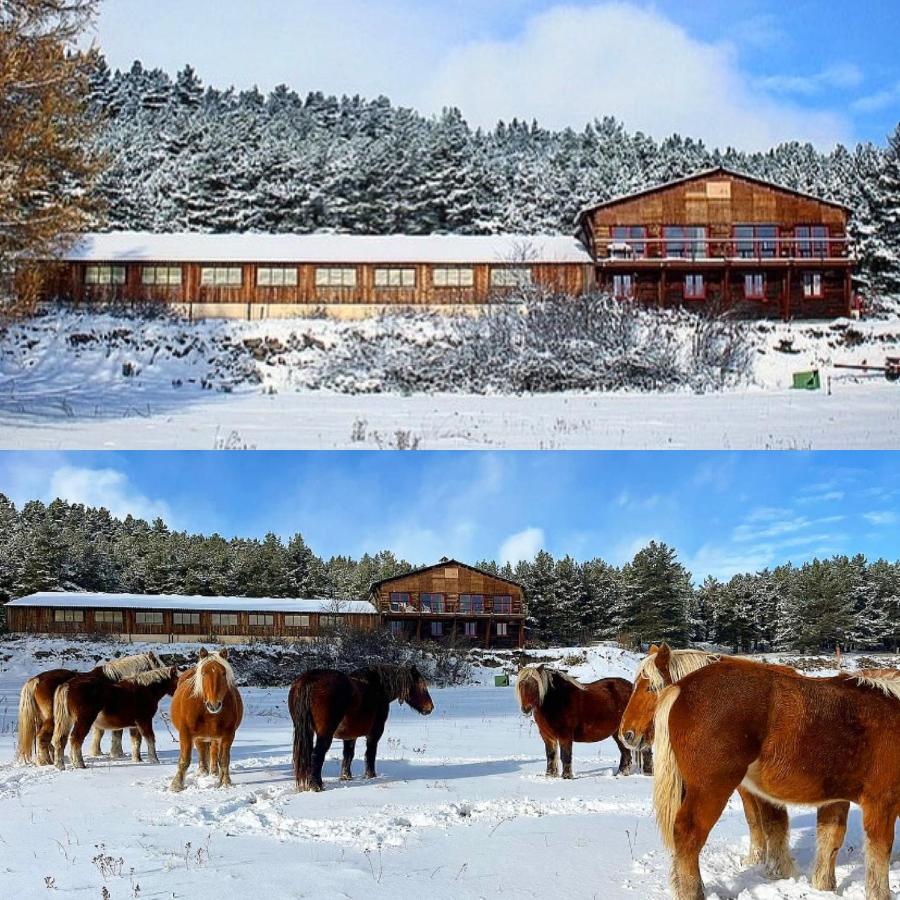 Gite Ranch Le Serpolet Les Angles (Pyrenees-Orientales) Exterior foto