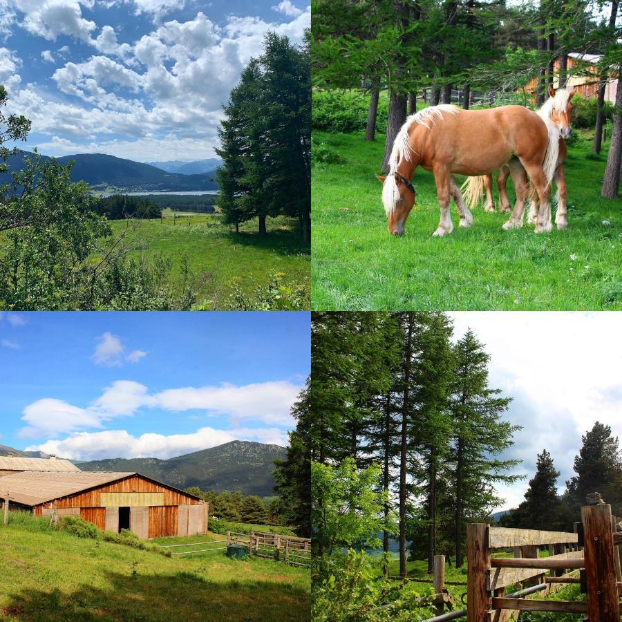 Gite Ranch Le Serpolet Les Angles (Pyrenees-Orientales) Exterior foto