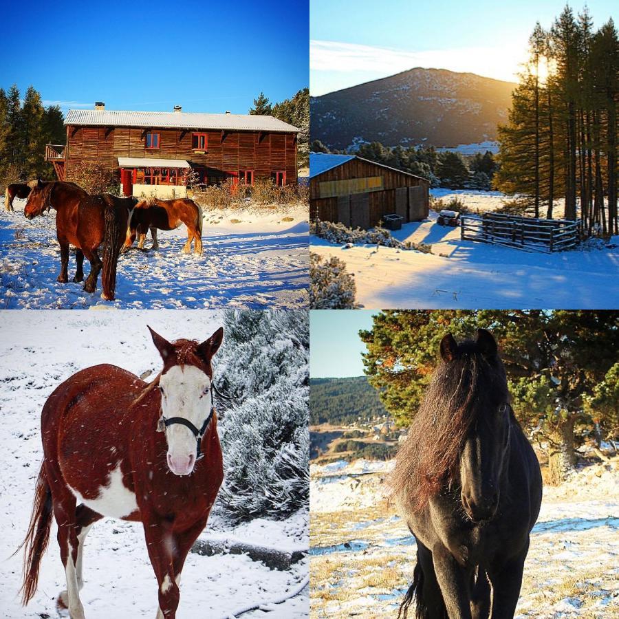 Gite Ranch Le Serpolet Les Angles (Pyrenees-Orientales) Exterior foto