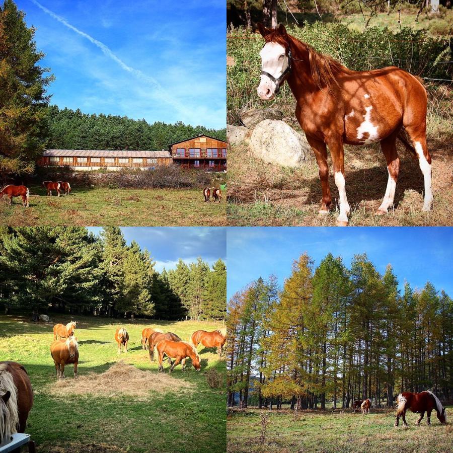 Gite Ranch Le Serpolet Les Angles (Pyrenees-Orientales) Exterior foto