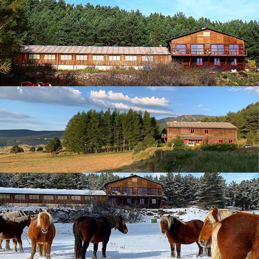 Gite Ranch Le Serpolet Les Angles (Pyrenees-Orientales) Exterior foto