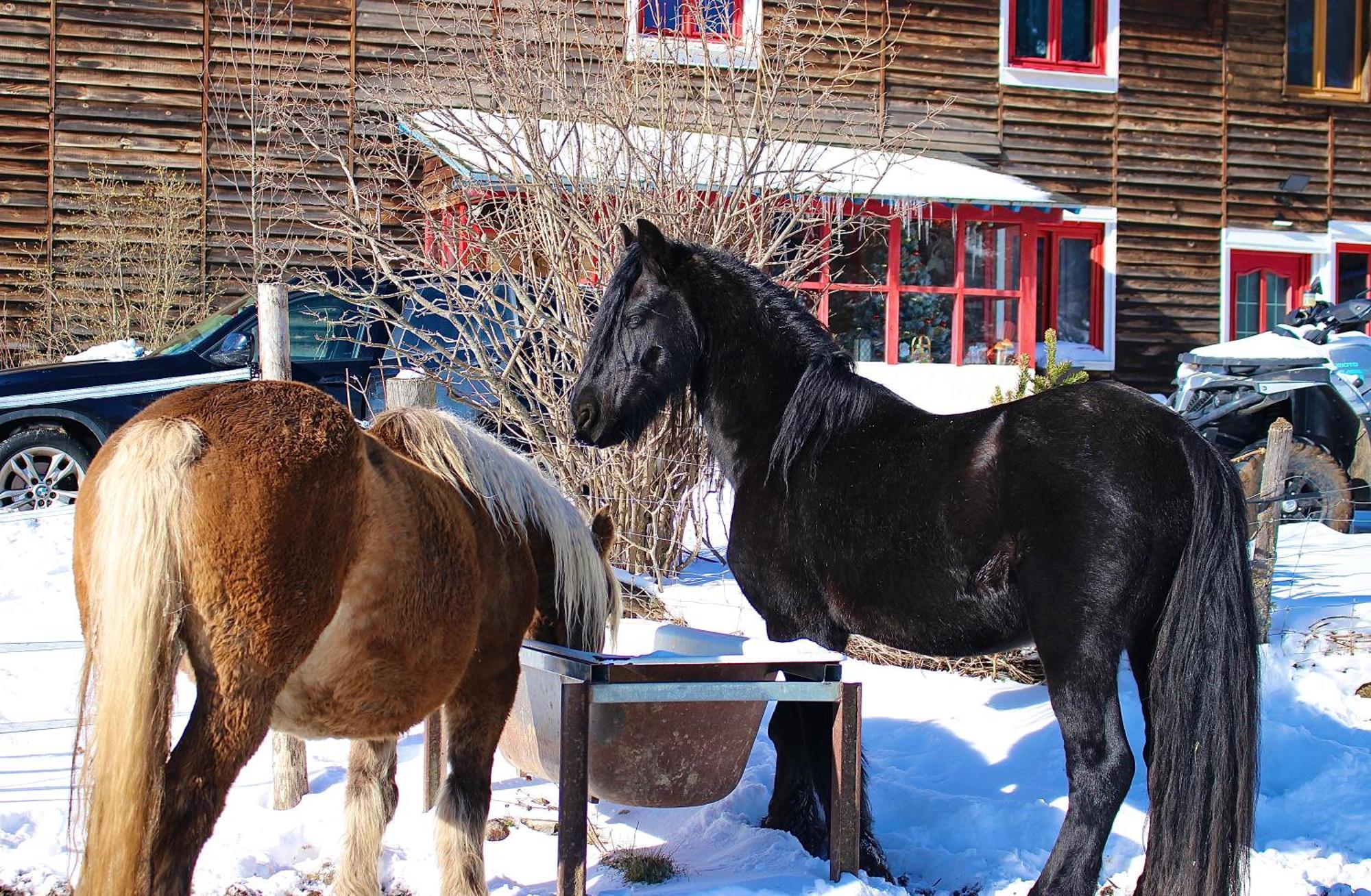 Gite Ranch Le Serpolet Les Angles (Pyrenees-Orientales) Exterior foto